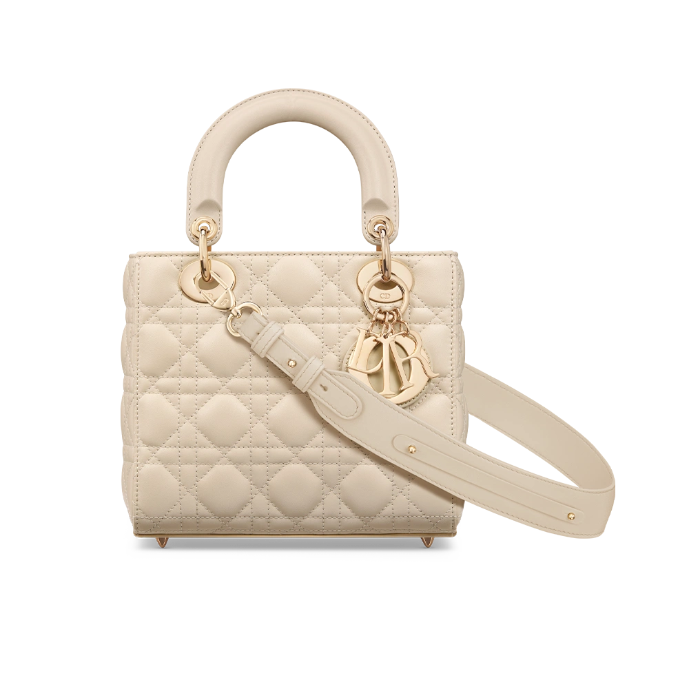 Small Lady Dior My ABCDior Bag (20cm)